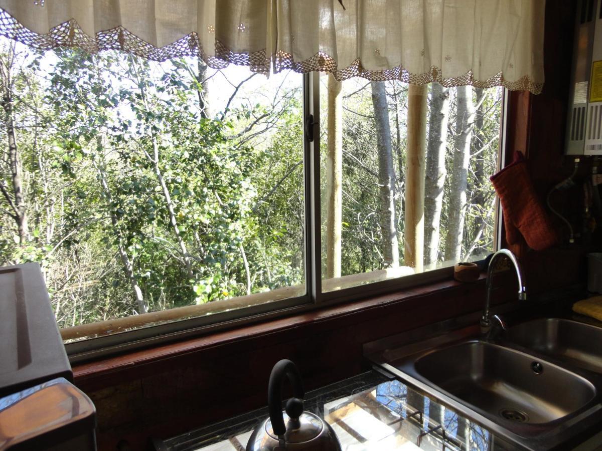 Cabanas Spa Bungalows Huarranchi Pucón Extérieur photo